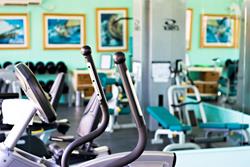 Mount Cinnamon Boutique Hotel - Grand Anse Beach, Grenada. Gym.